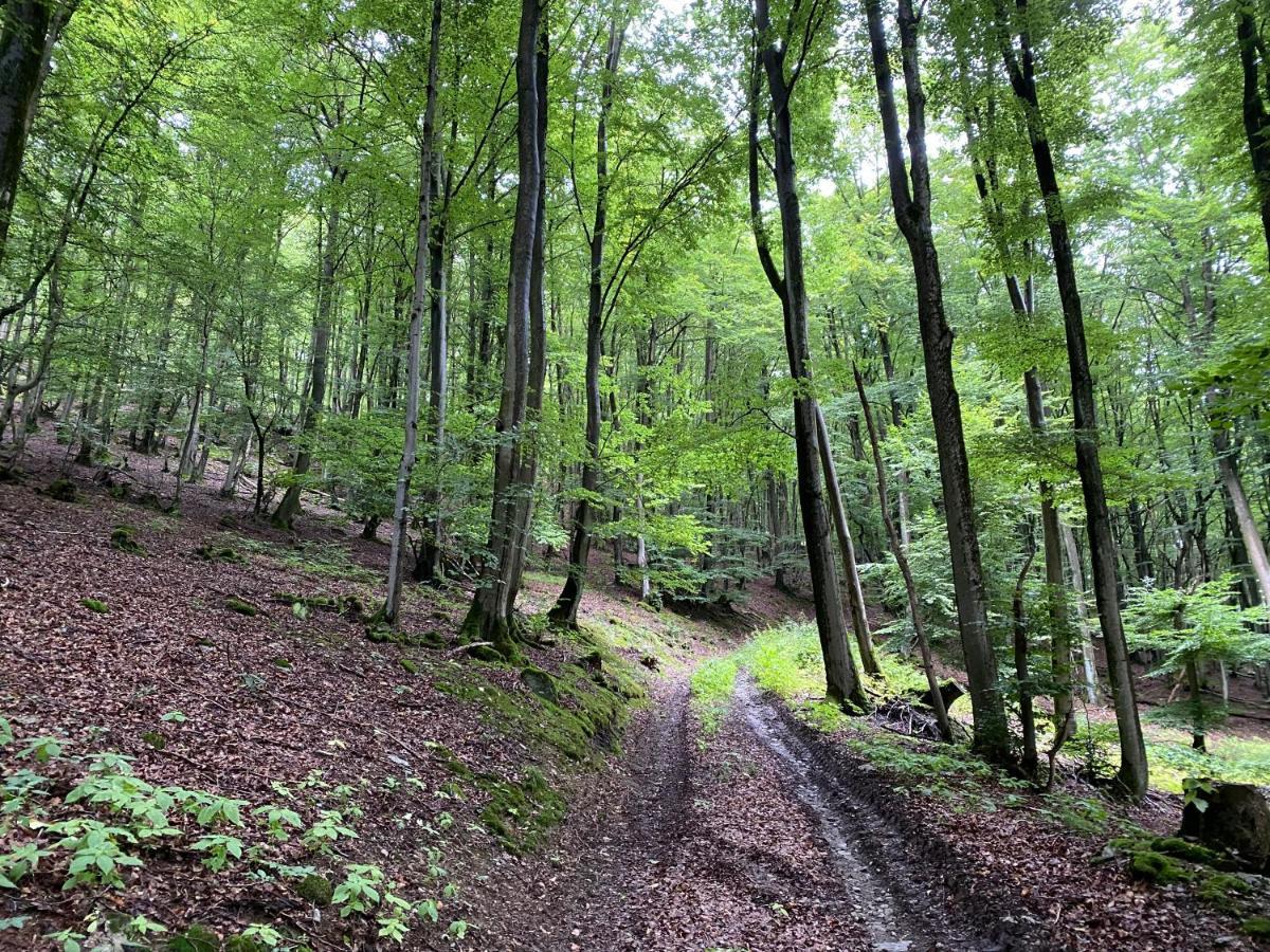 Waldlaeufer *