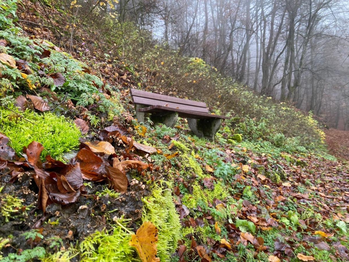 Waldlaeufer Brilon
