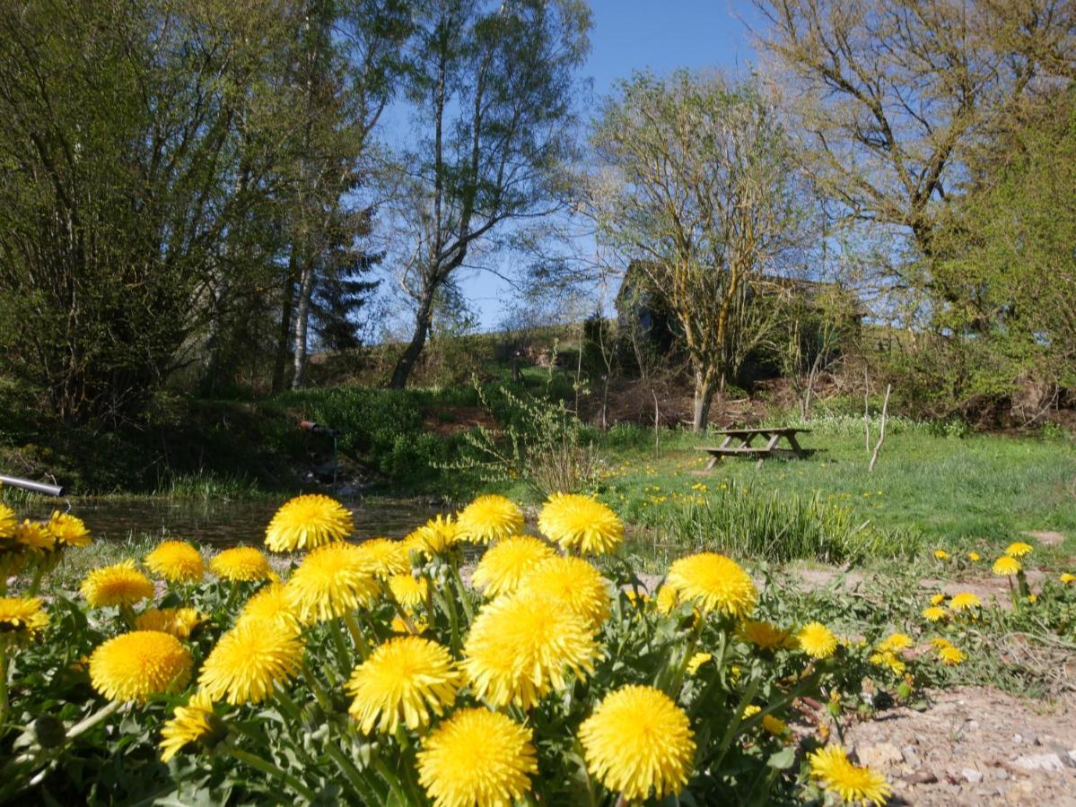 Waldlaeufer