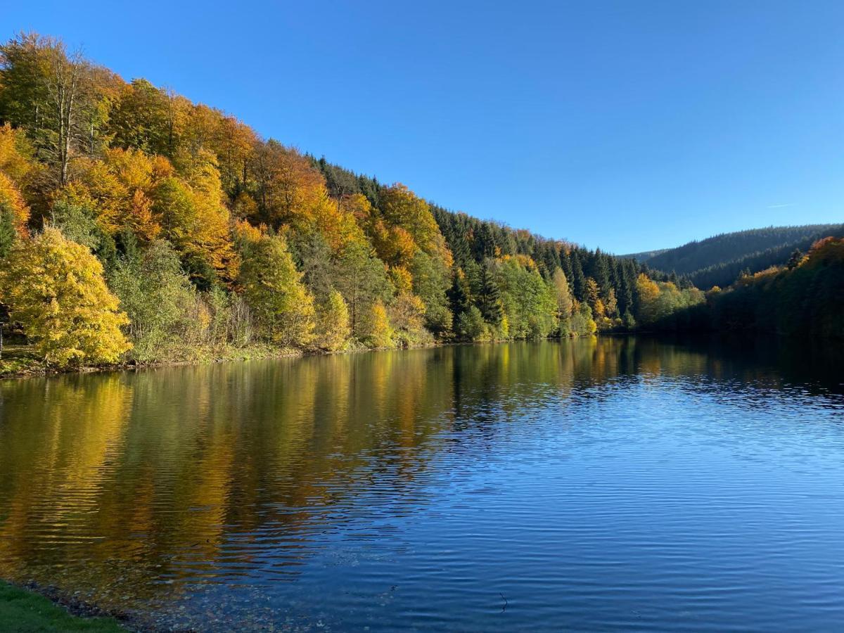 Waldlaeufer Brilon